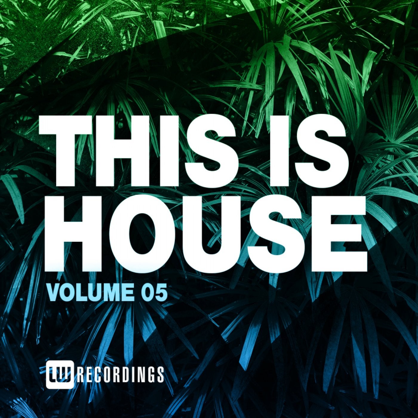 This Is House, Vol. 05