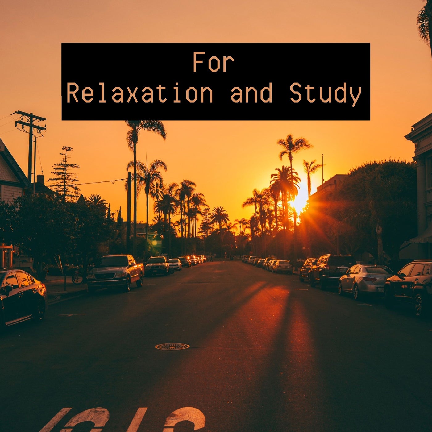 For Relaxation And Study