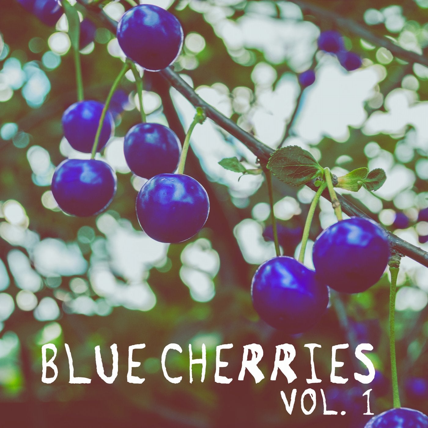Blue Cherries, Vol. 1