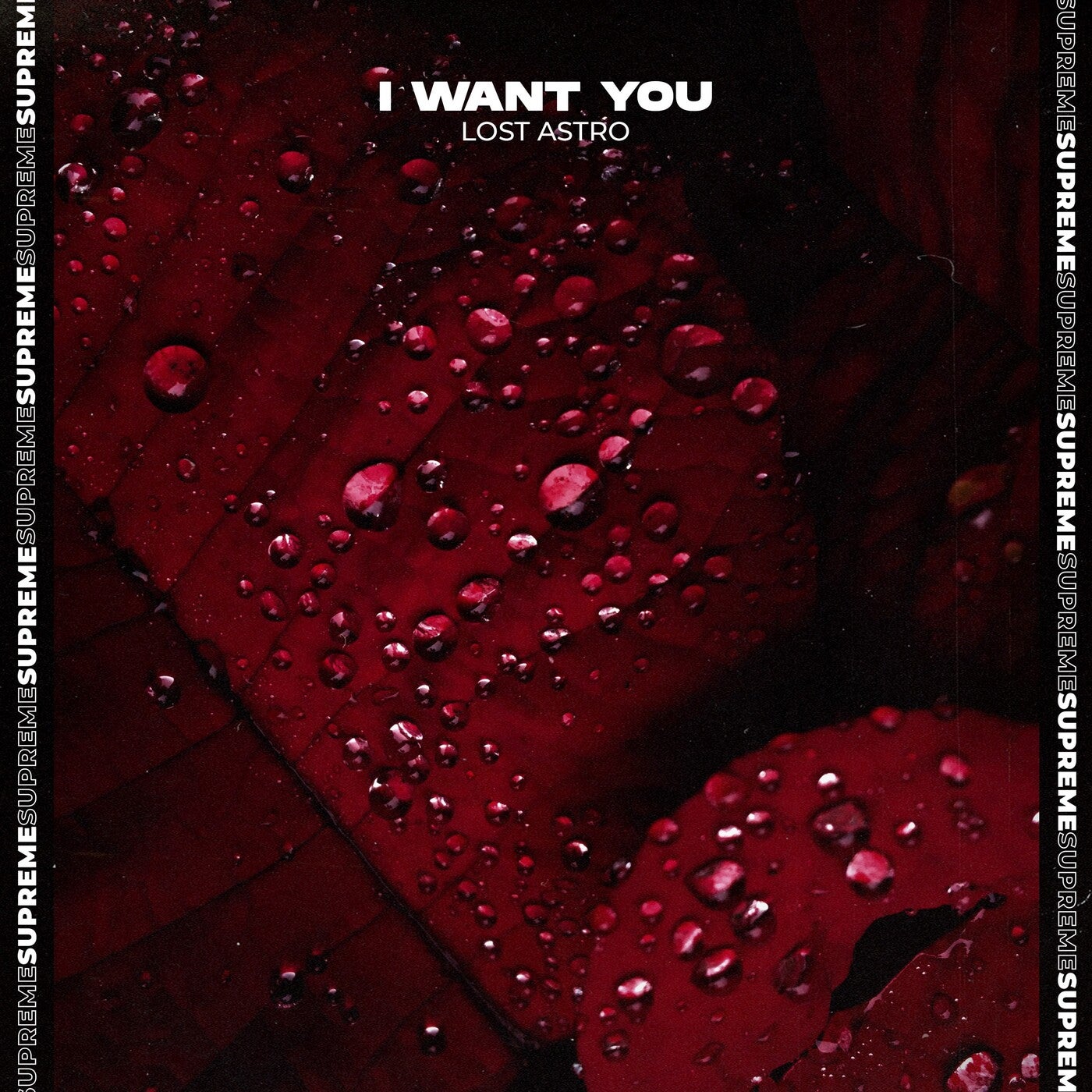I Want You