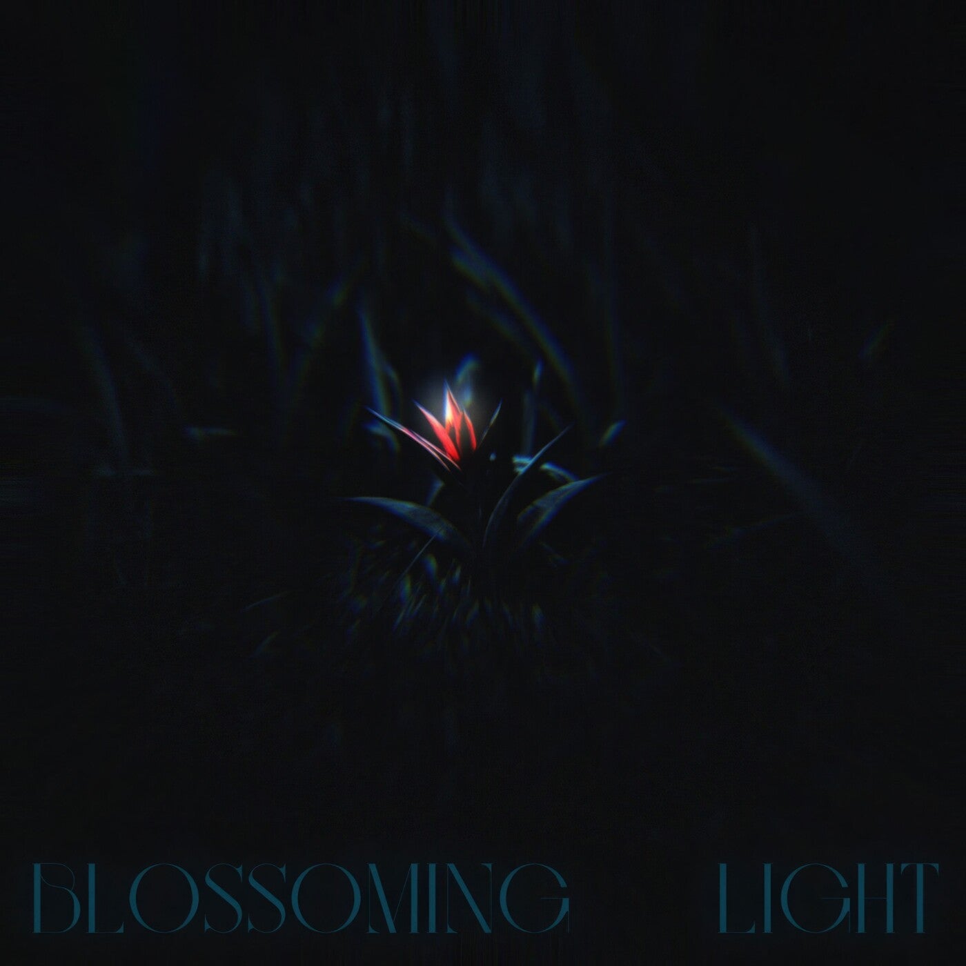 Blossoming Light