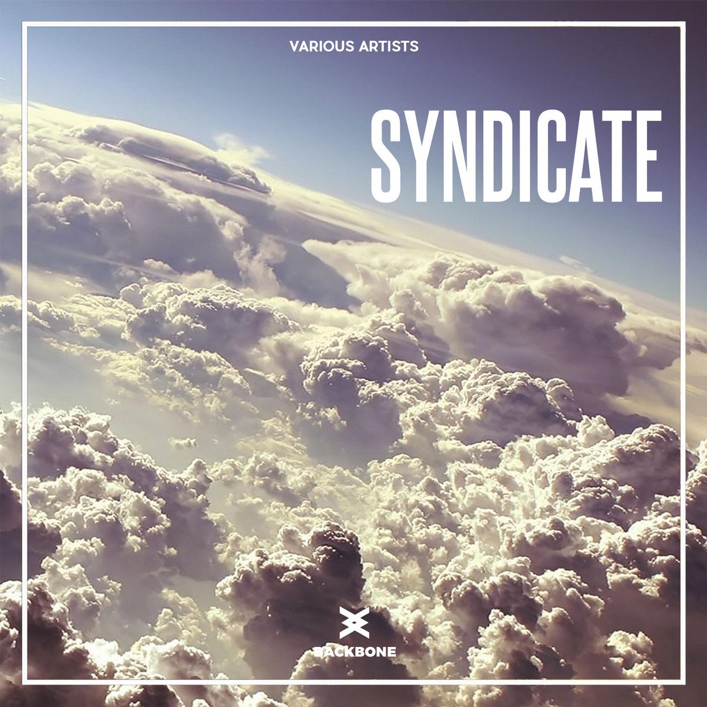 Syndicate