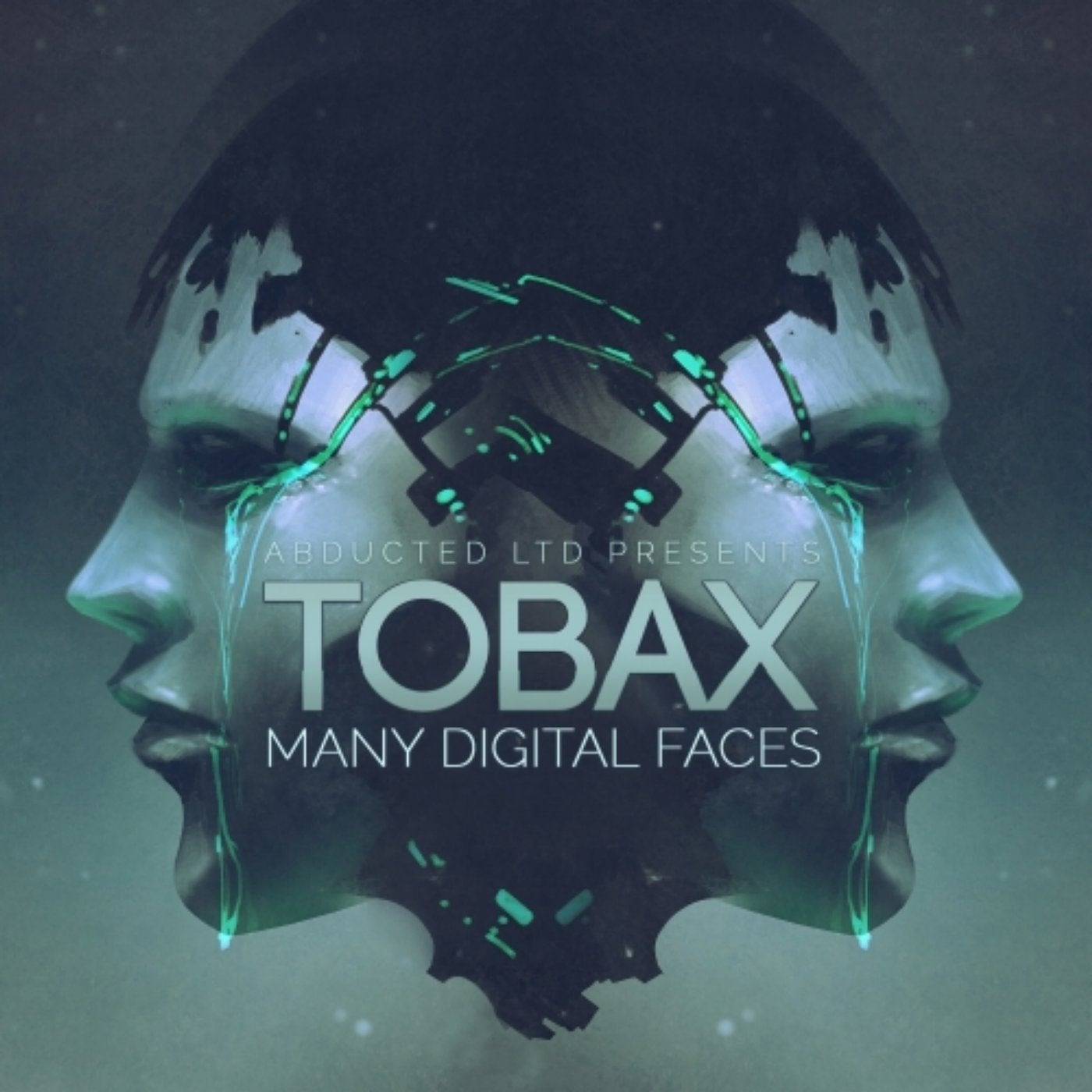 Many Digital Faces