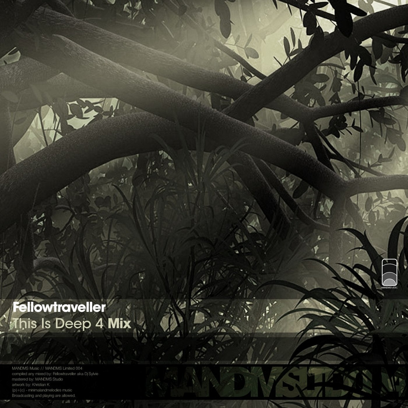 This Is Deep 4 - Mix (Mixed By Fellowtraveller aka DJ Sylvie)