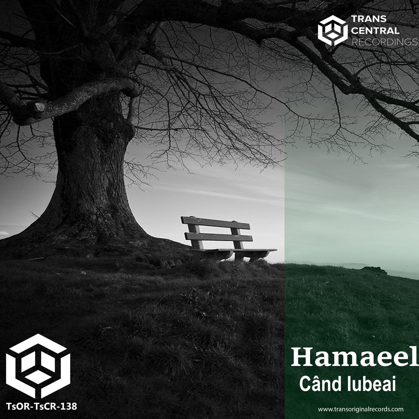 Hamaeel - Când Iubeai [Trans Central Recordings] | Music & Downloads on ...