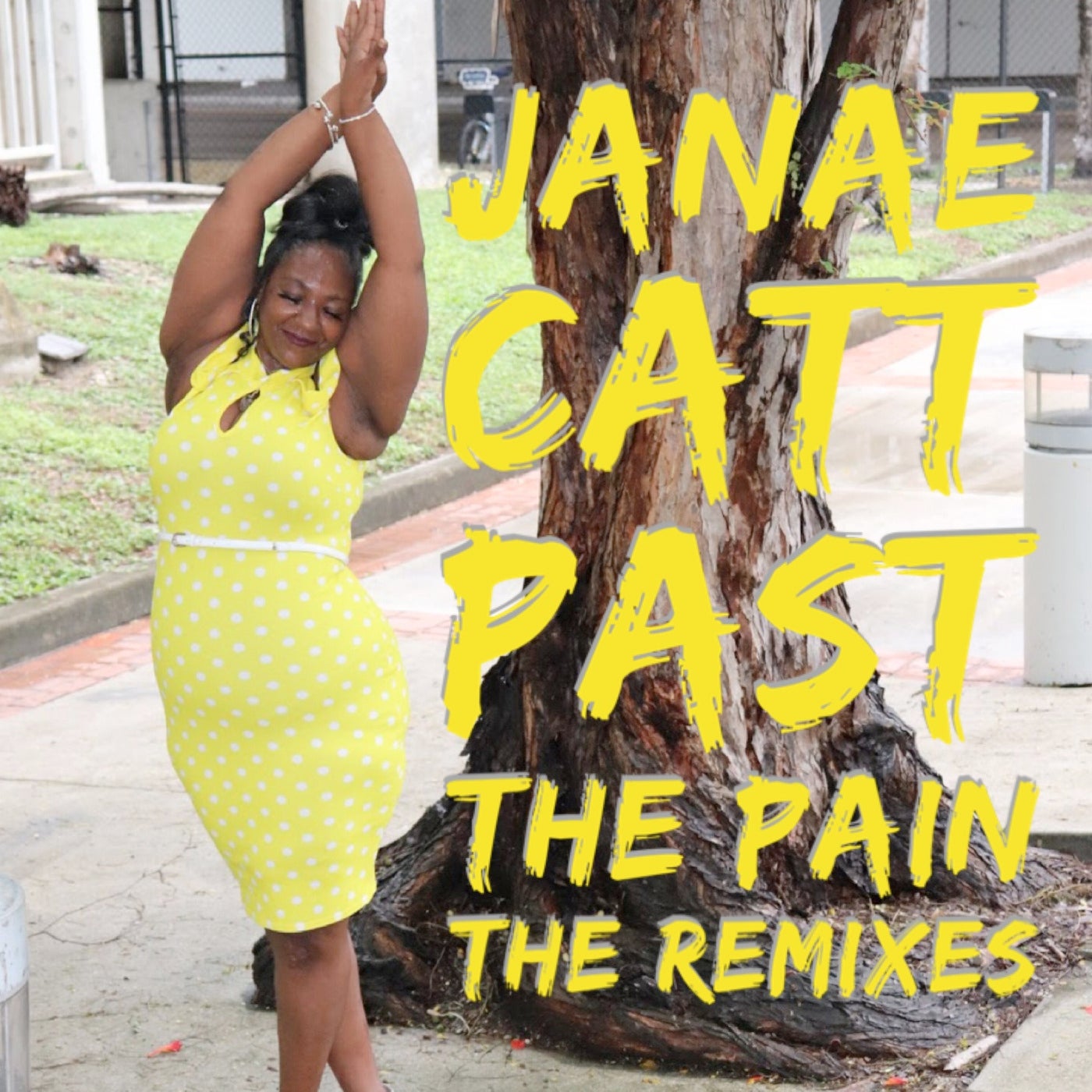 Past the Pain: the Remixes