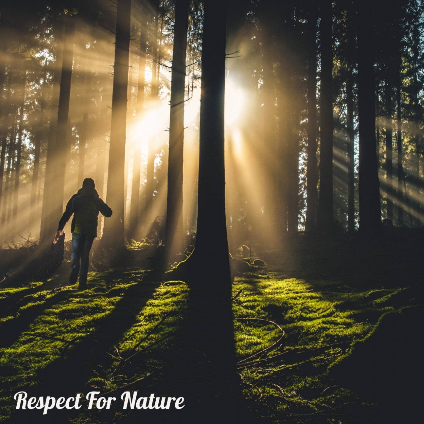 Respect For Nature