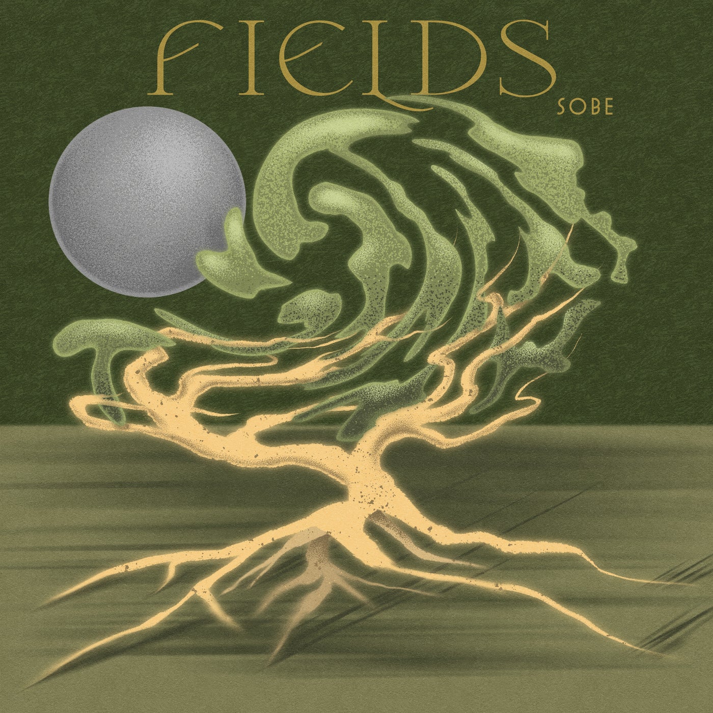 Fields