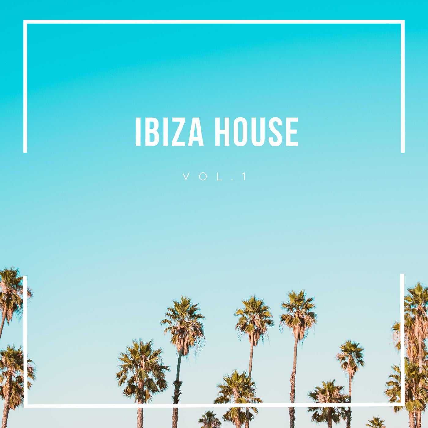 Ibiza House, Vol.1