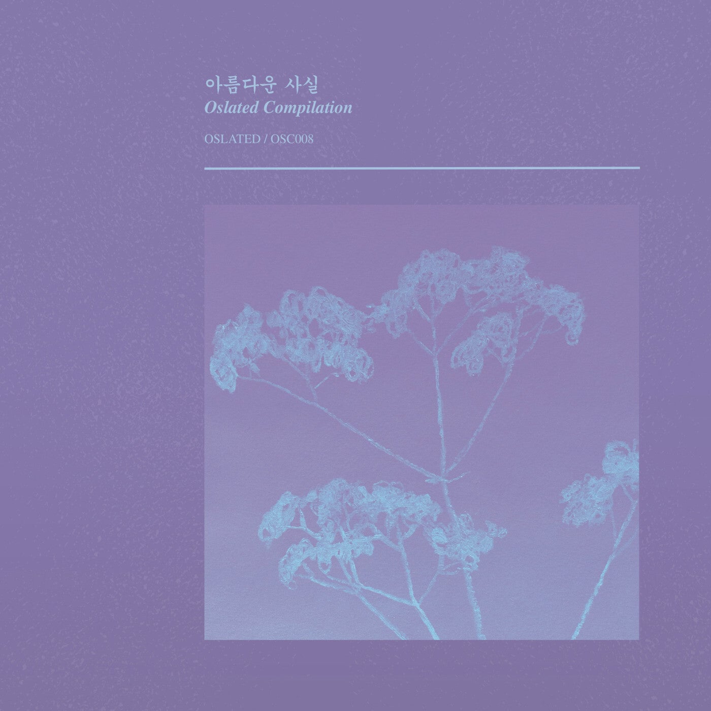 Cover art for 아​름​다​운 사실 Beautiful Facts