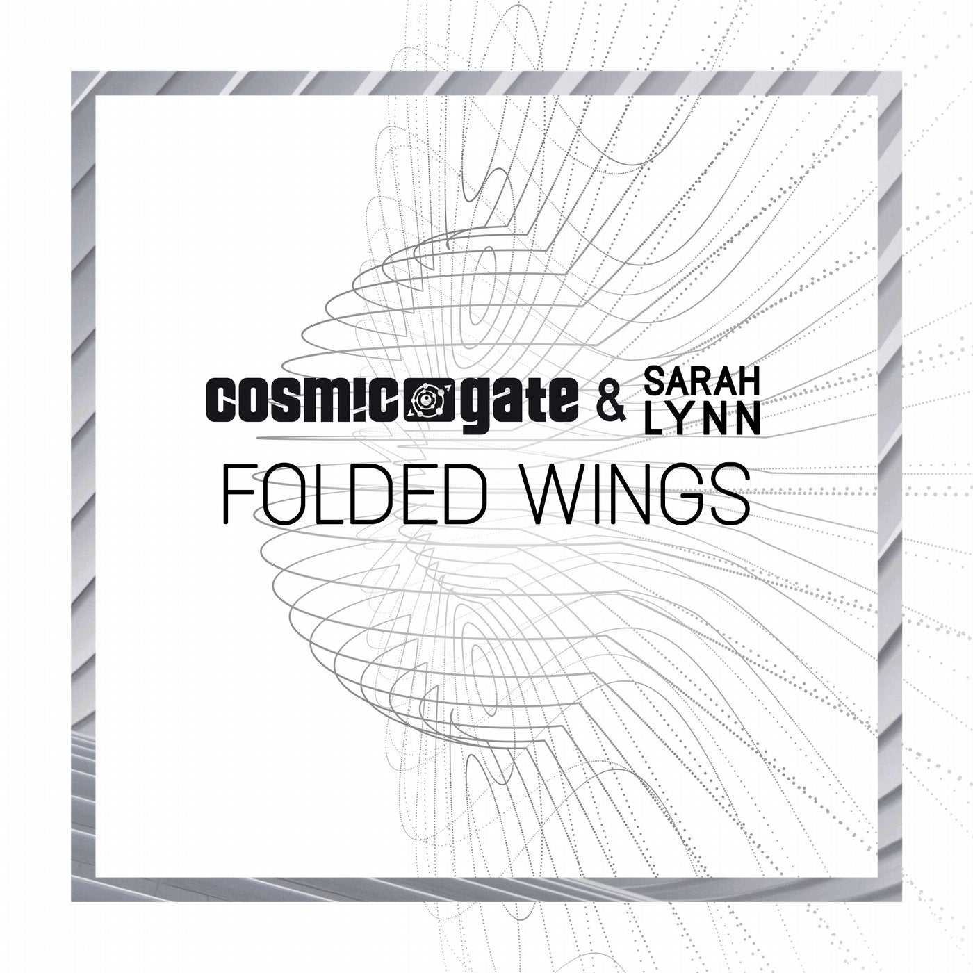 Folded Wings