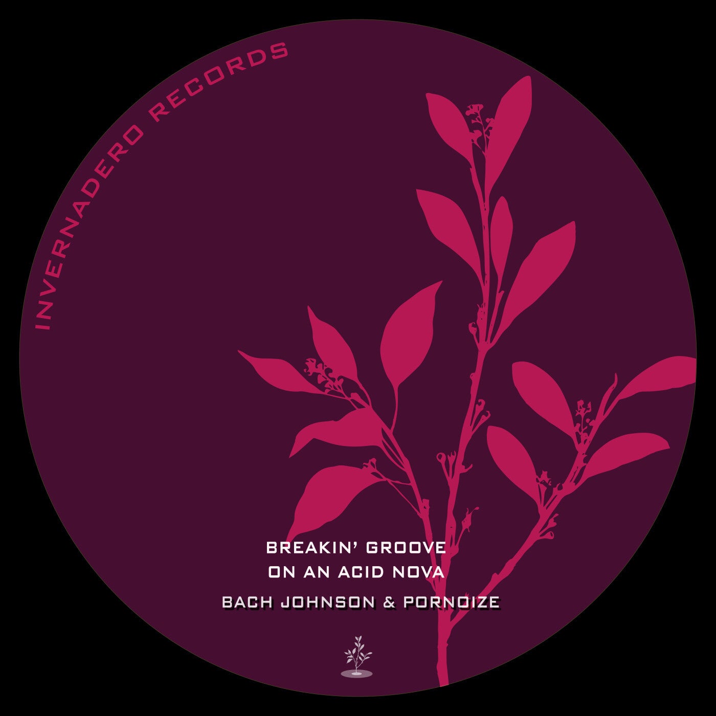 Breakin' Groove On An Acid Nova