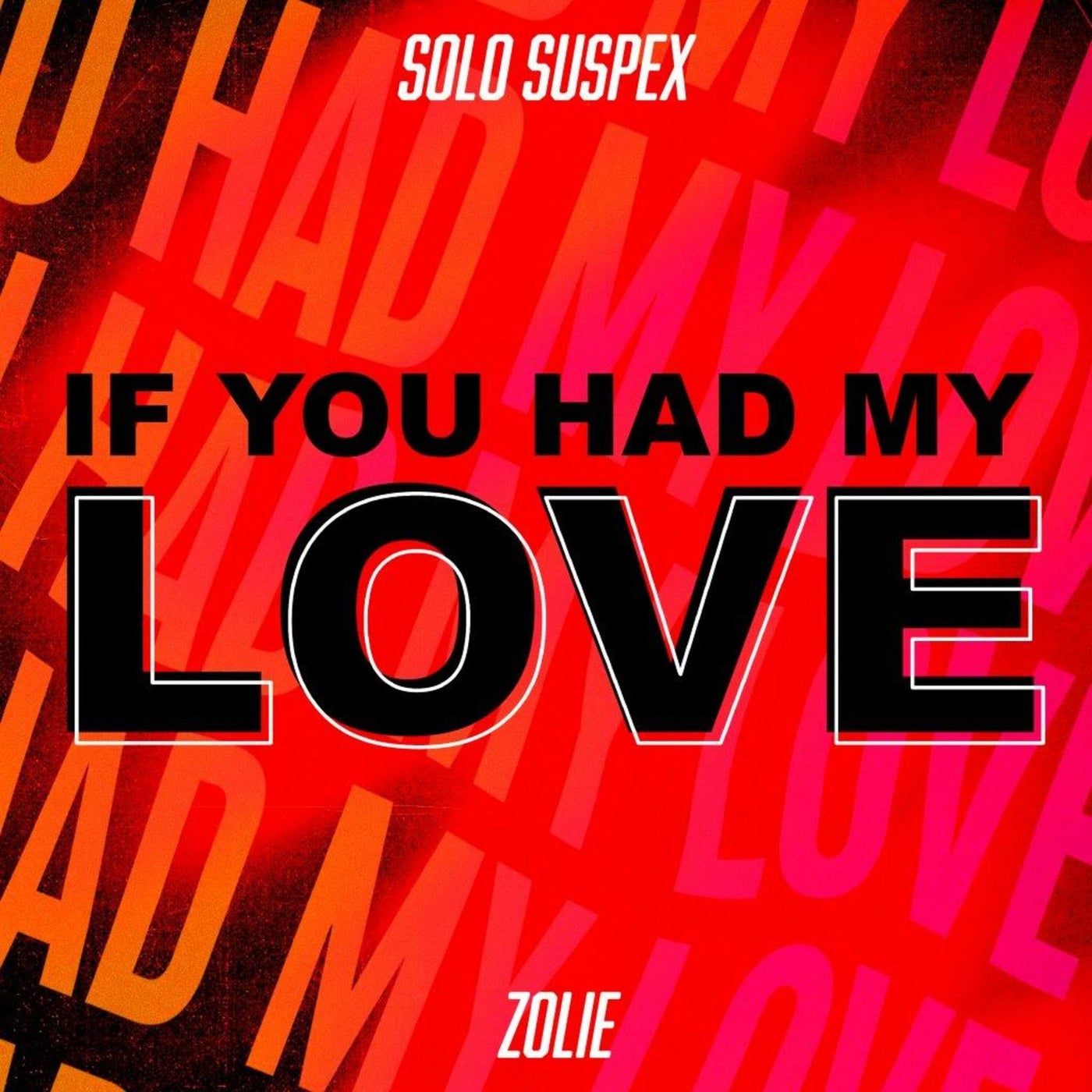 If You Had My Love (feat. Zolie) (Extended Mix)