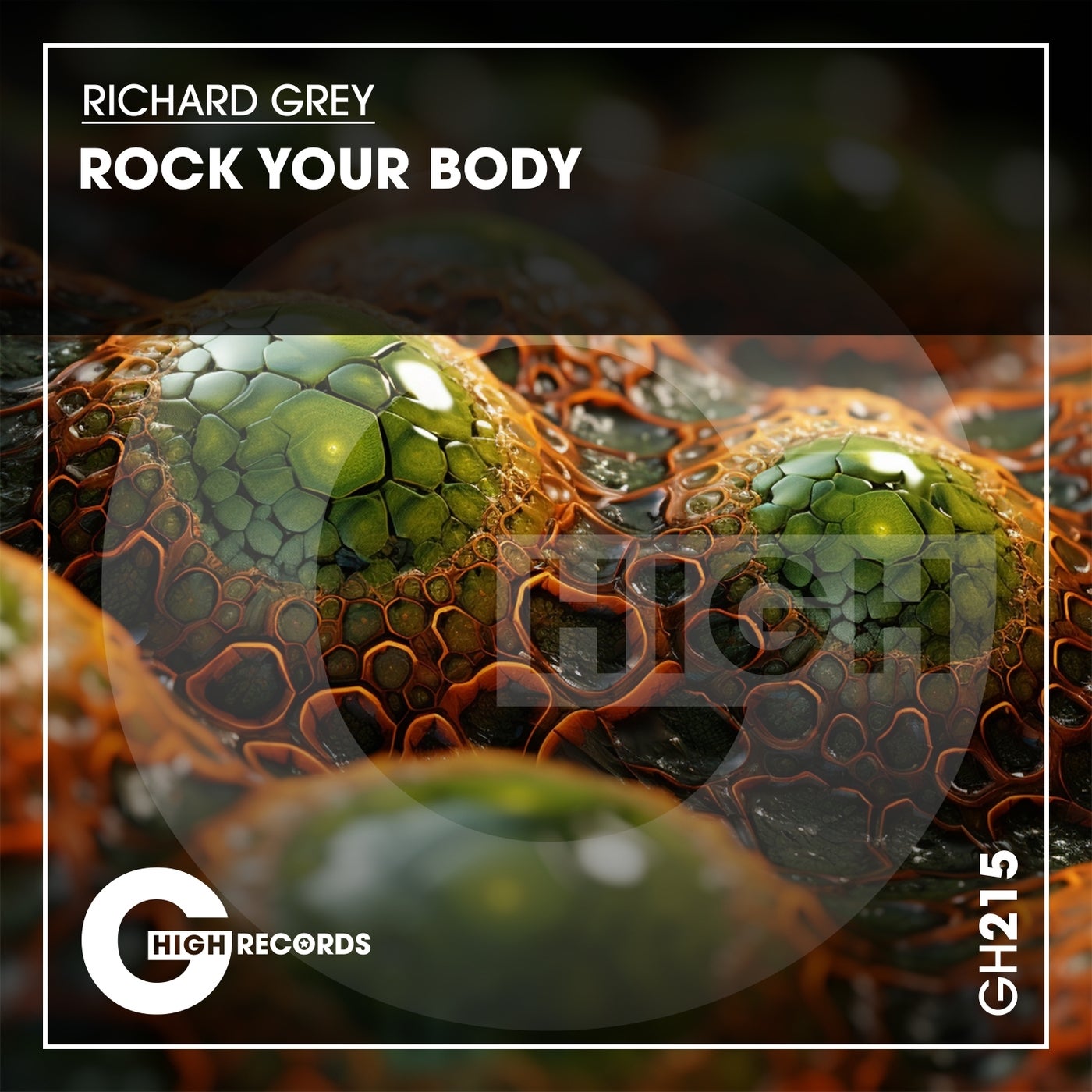Rock Your Body 