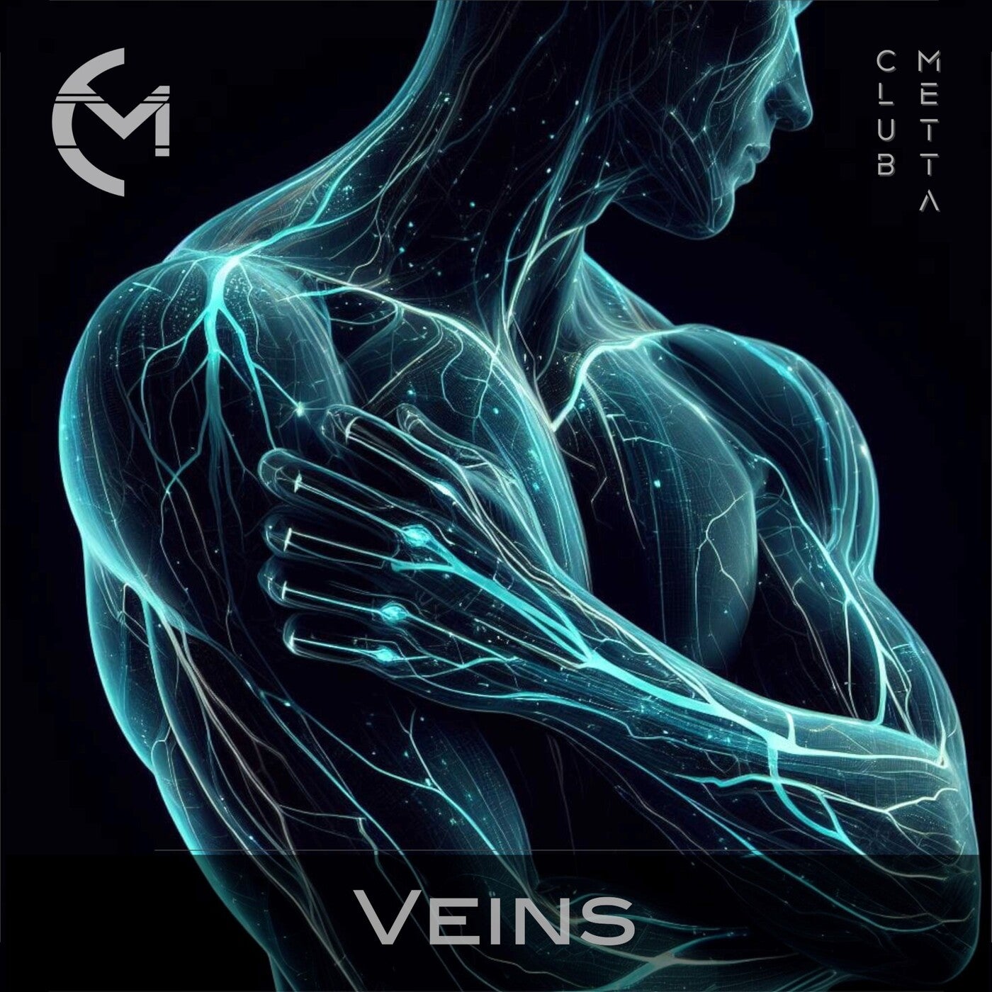 Veins