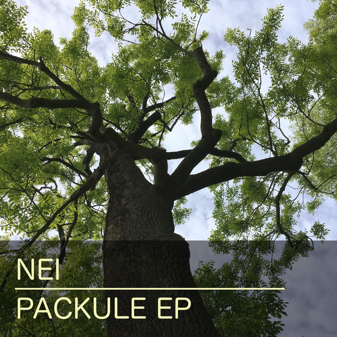 Packule EP