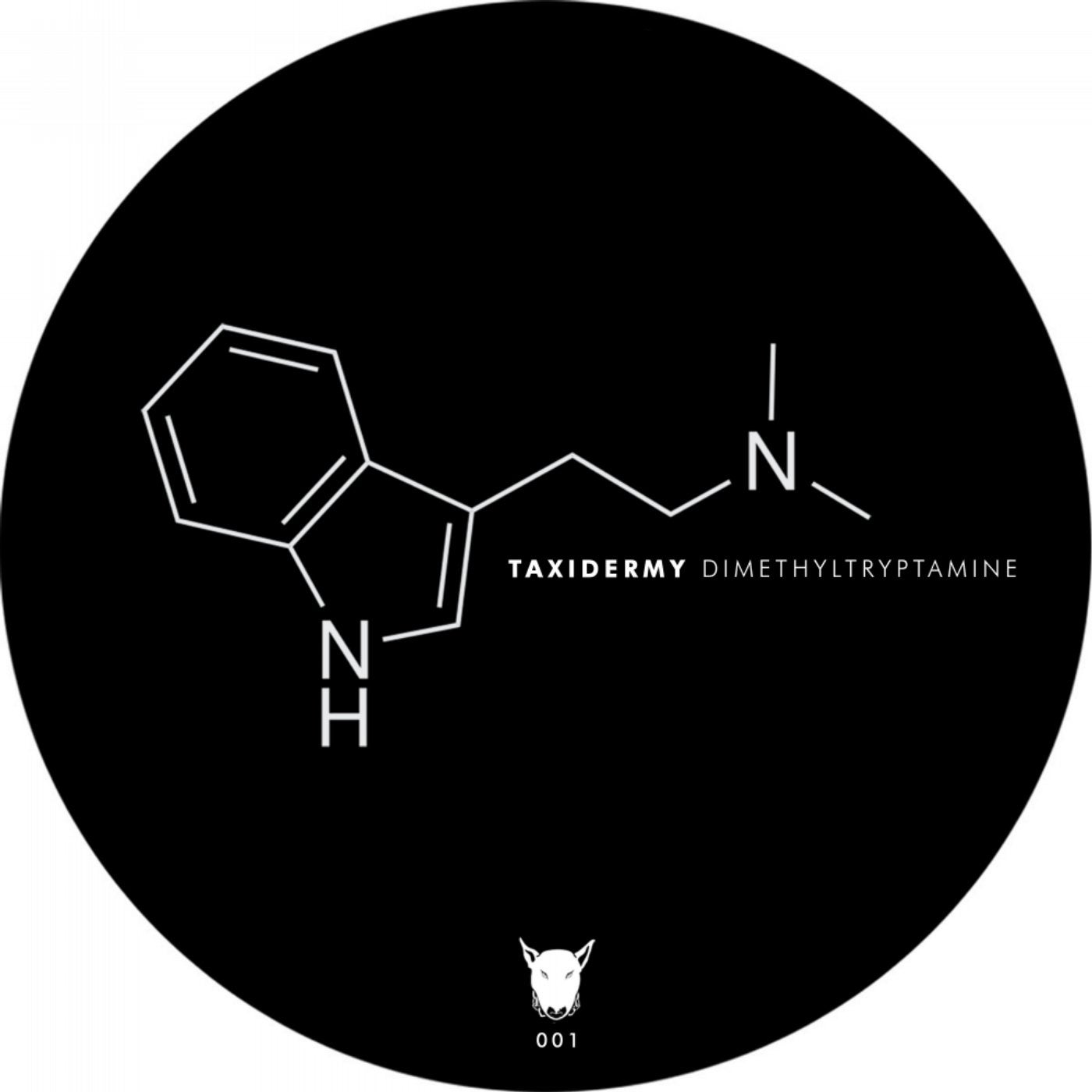 Geometry оригинал. Dimethyltryptamine. Dimethyltryptamine кулон. Диметилтриптамин механизм. Геометрия в Музыке.