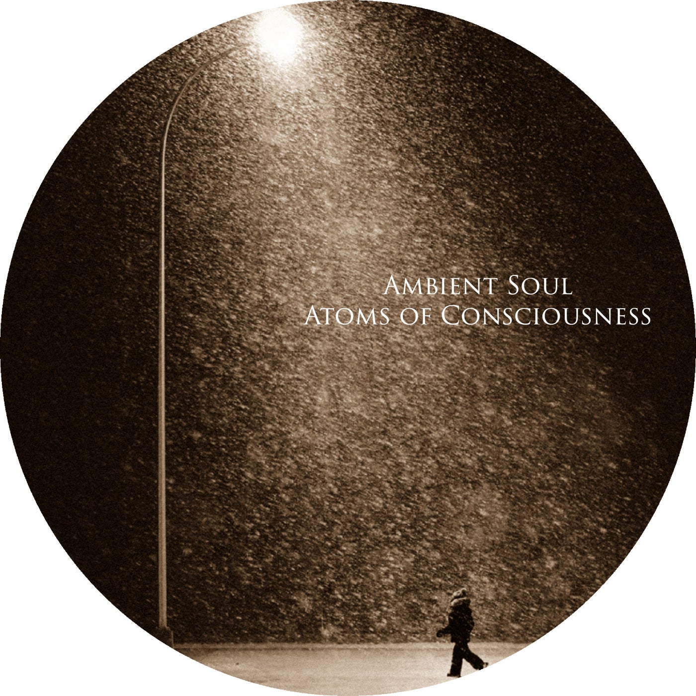 Atoms of Consciousness