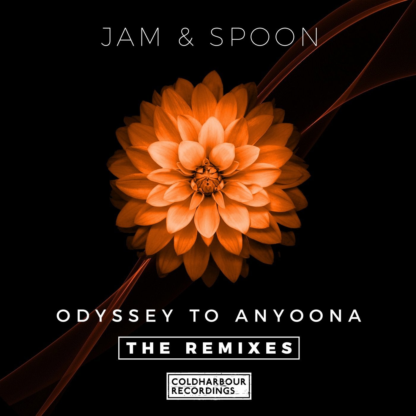 Odyssey to Anyoona