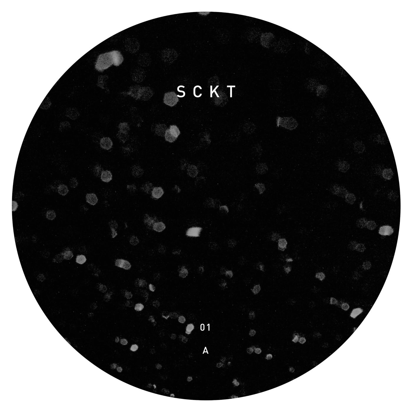 Cover art for SCKT01