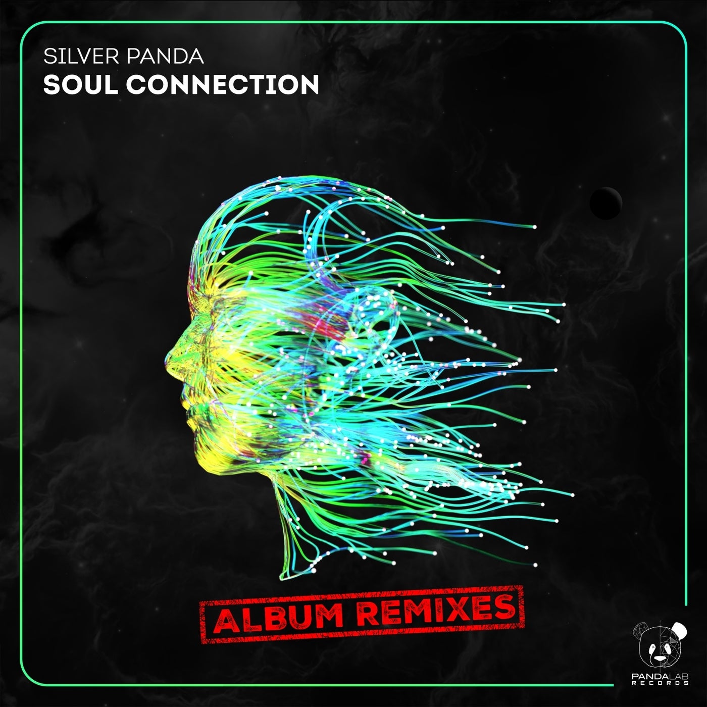 Silver Panda – Soul Connection (Album Remixes) PLR053B Silver Panda – Soul Connection (Album Remixes) PLR053B