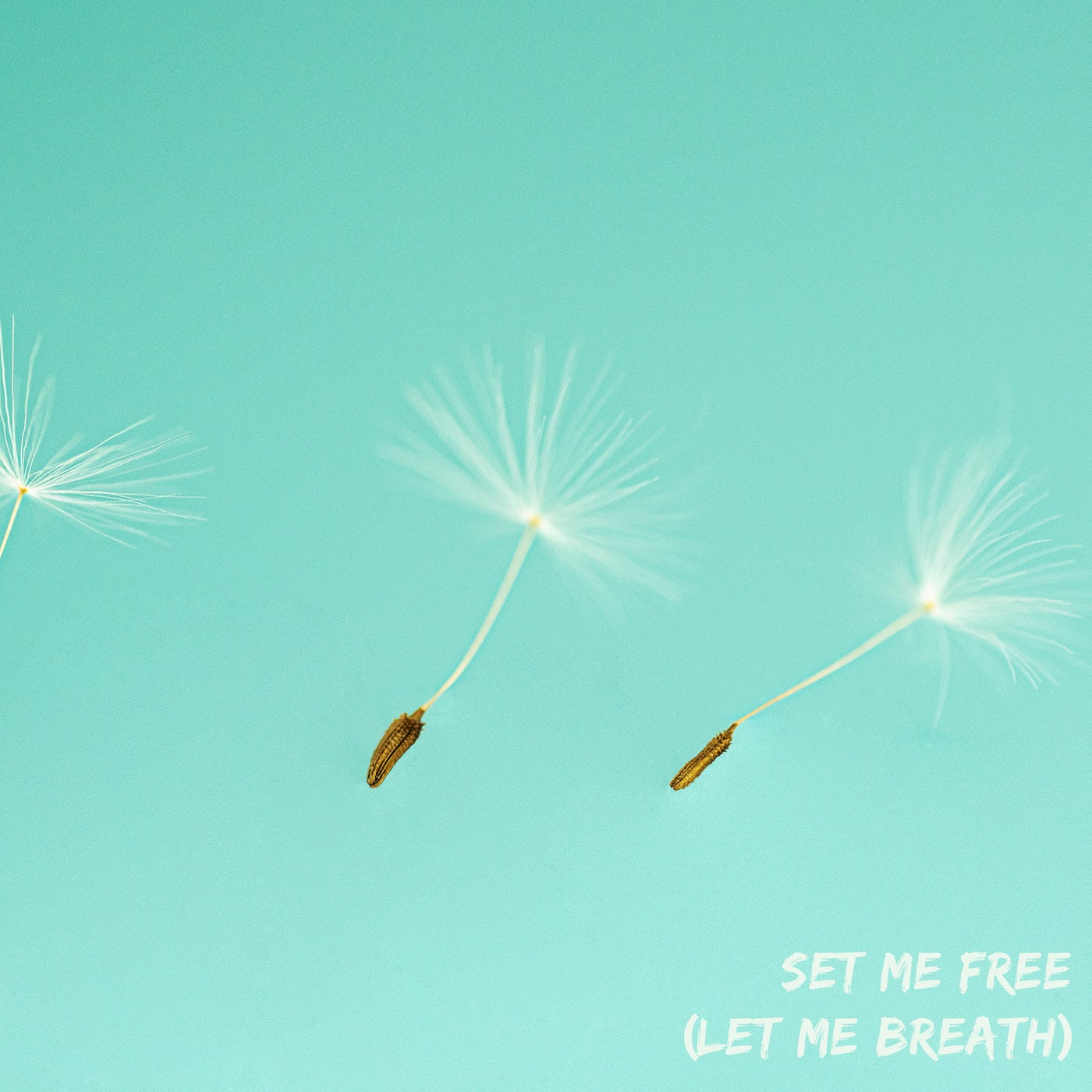 set me free (let me breath)