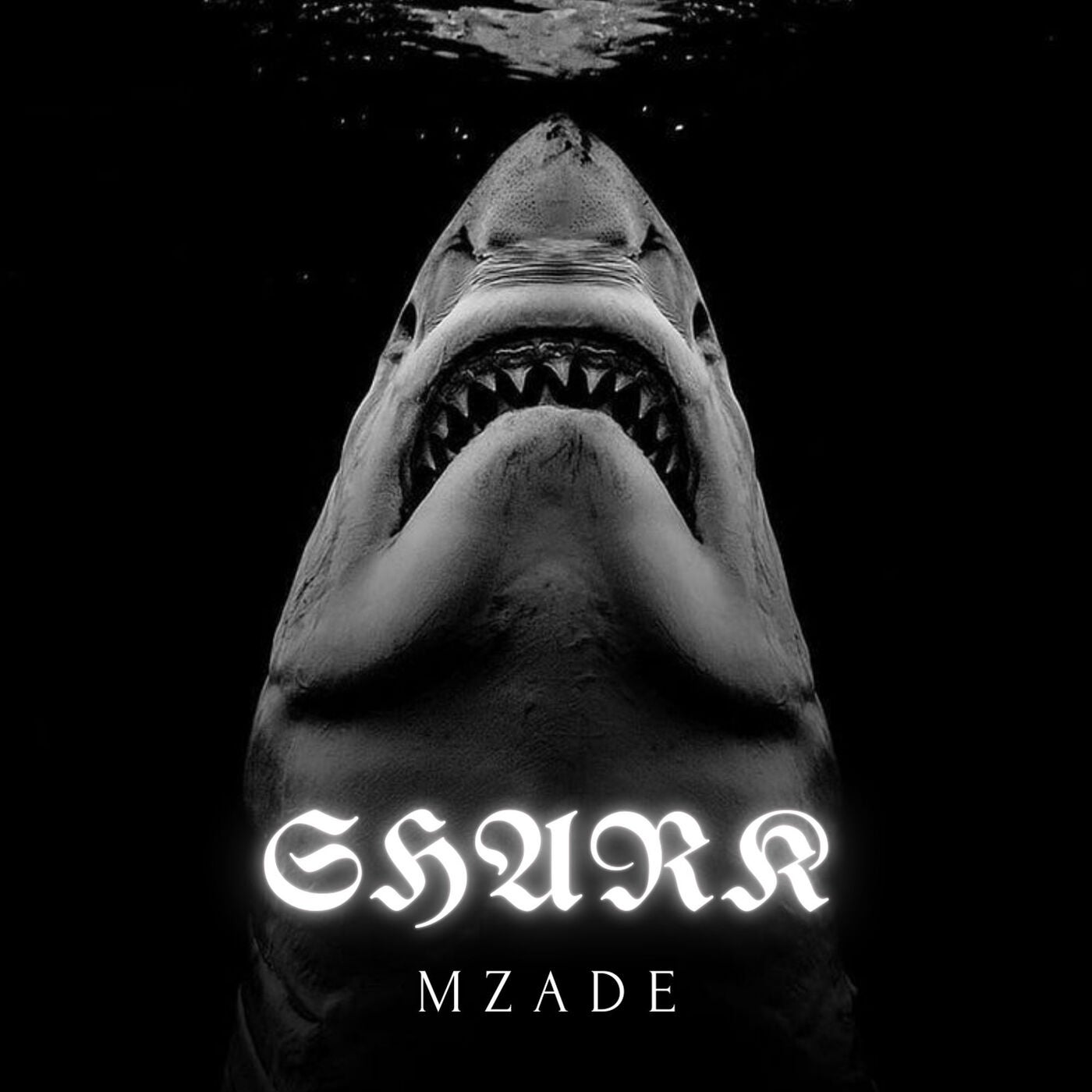Shark
