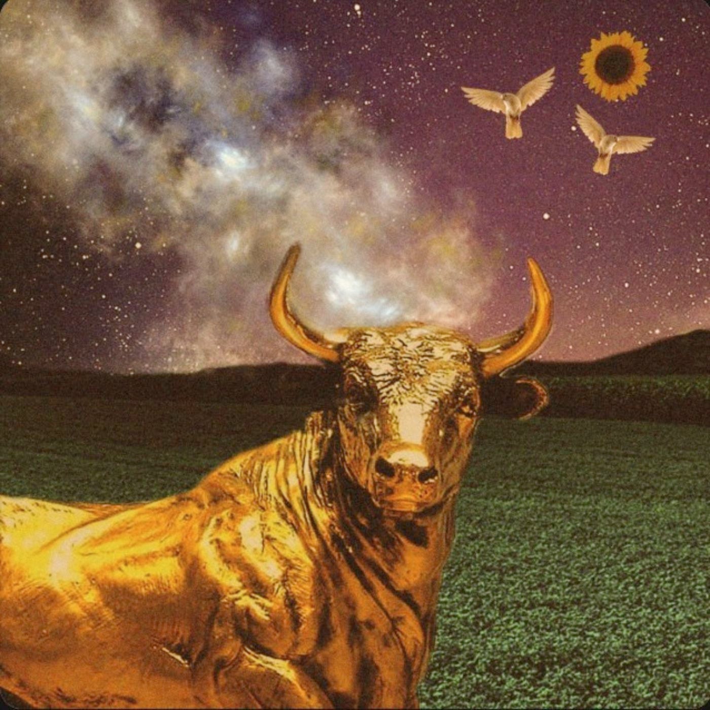 Taurus