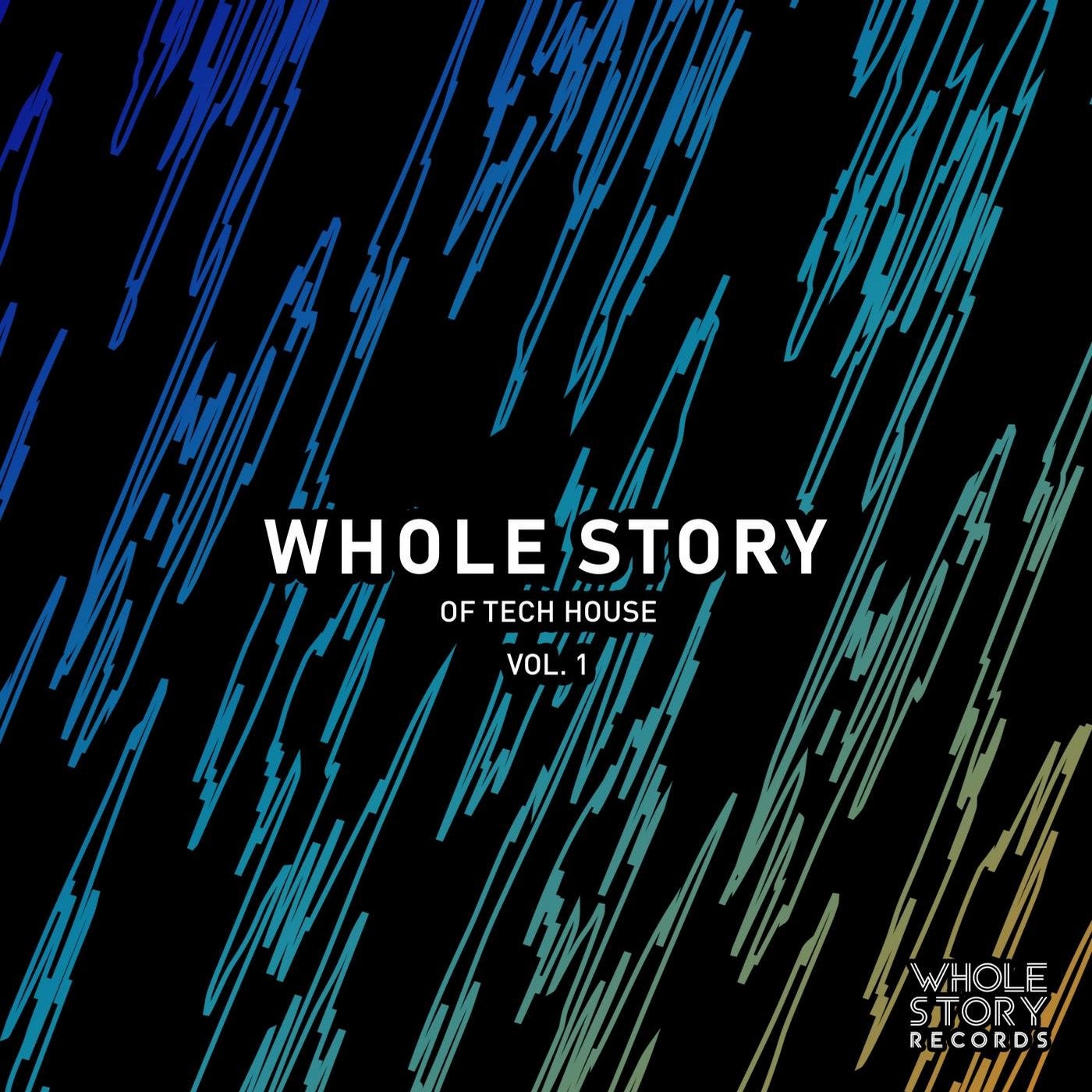 Whole Story Of Tech House Vol. 1