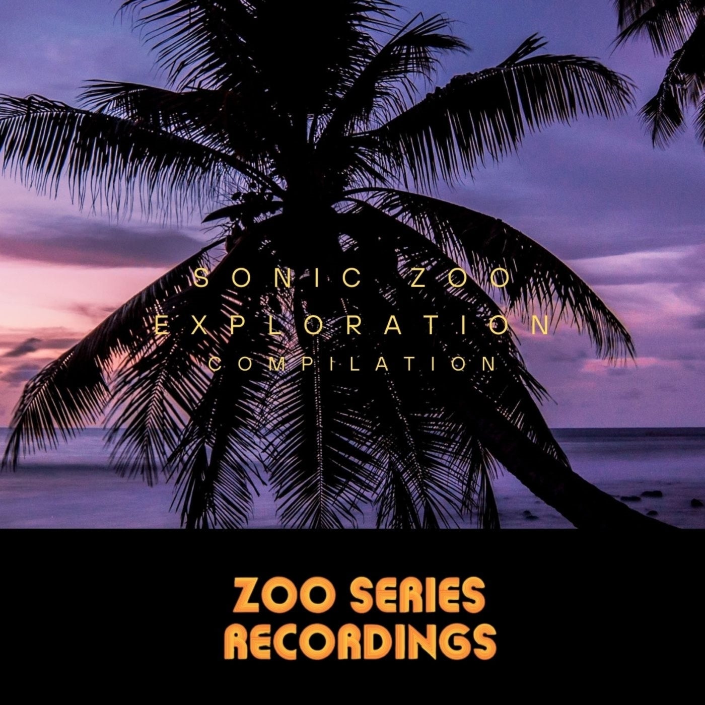 Sonic Zoo Exploration