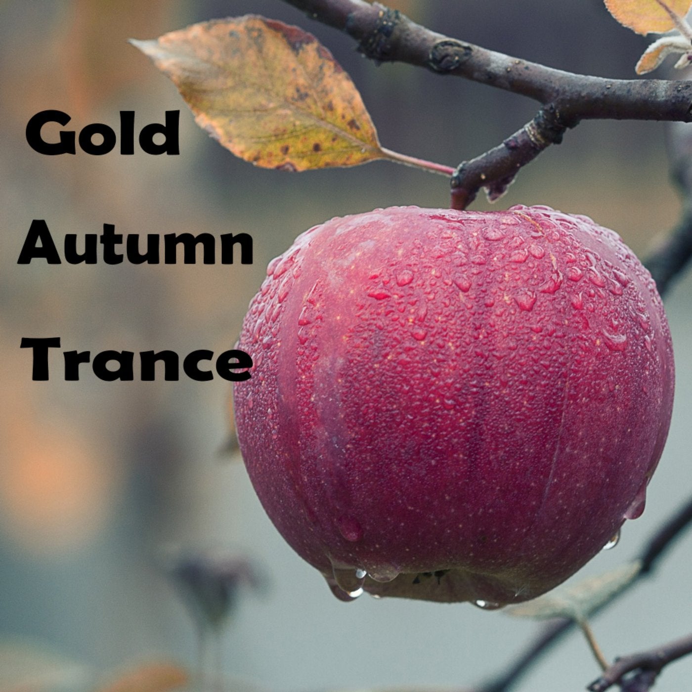 Gold Autumn Trance