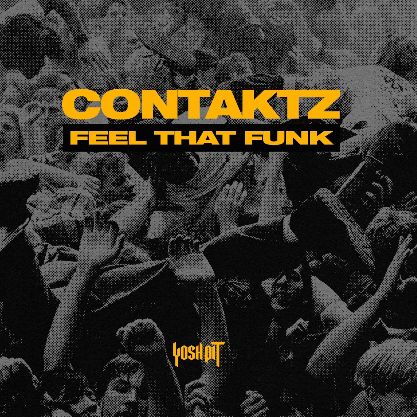 Feel That Funk