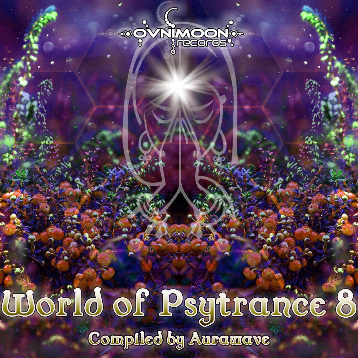 World Of Psytrance, Vol. 8