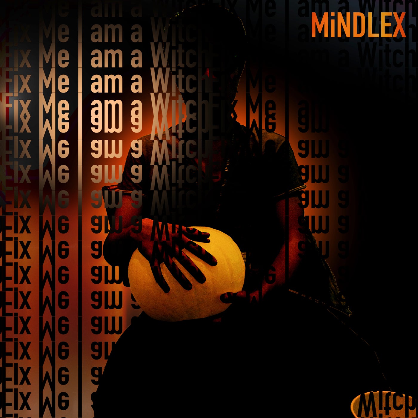 Fix Me I am a Witch