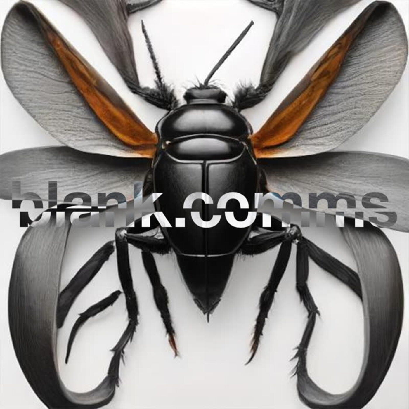 Carapace EP