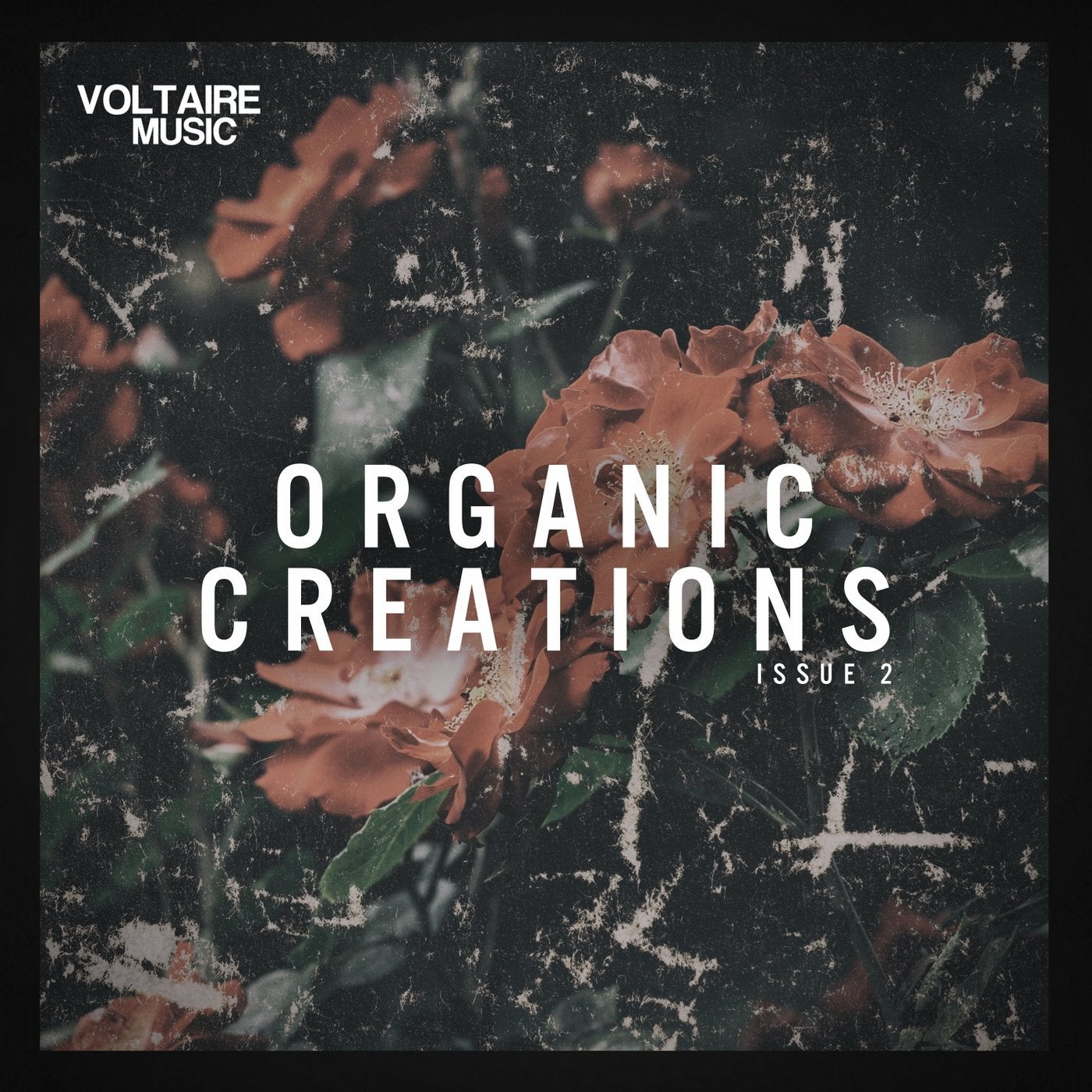 Organic Creations Issue 2