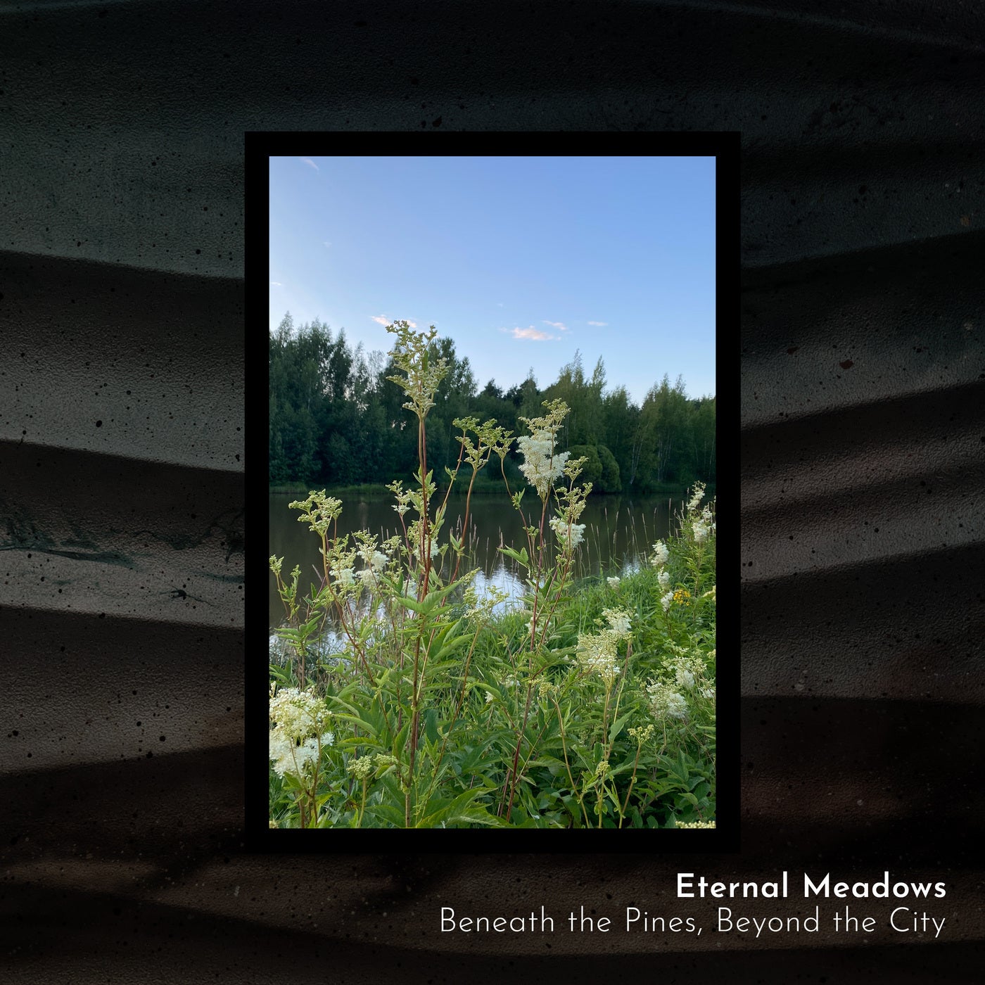 Beneath the Pines, Beyond the City