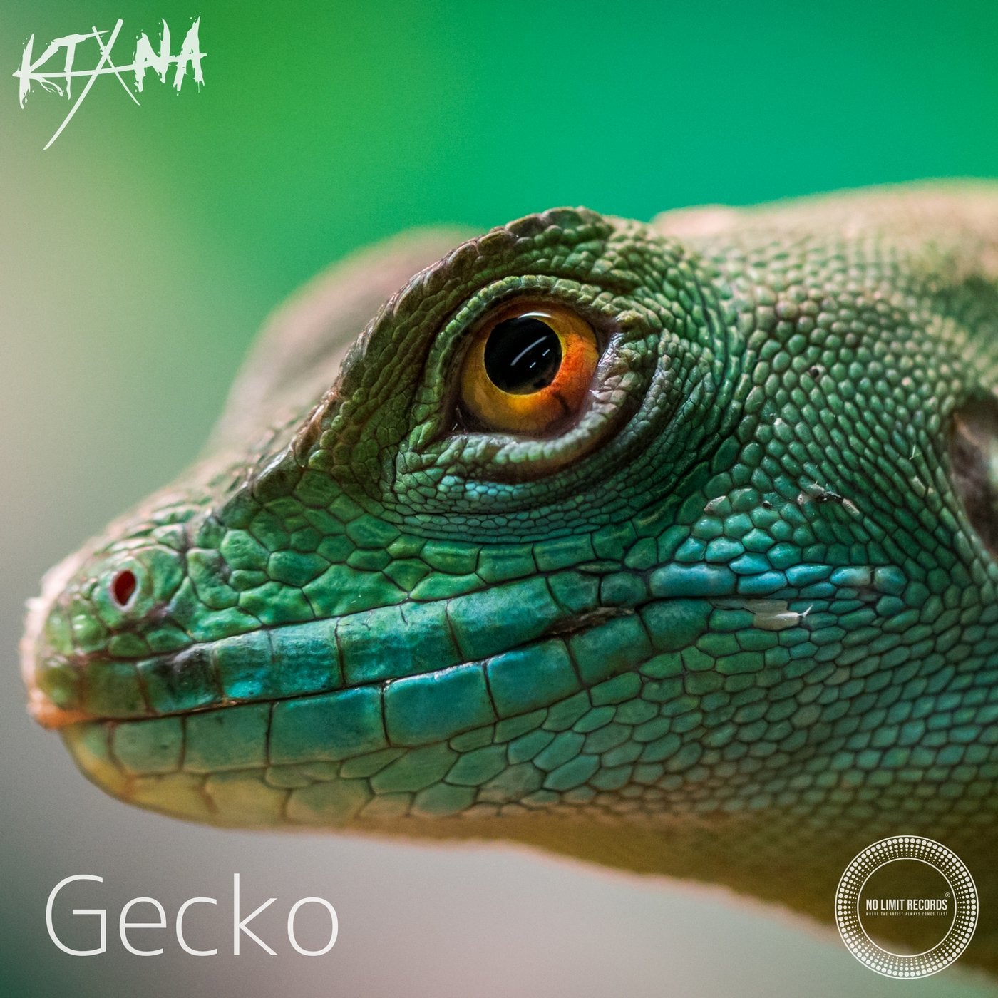 Gecko