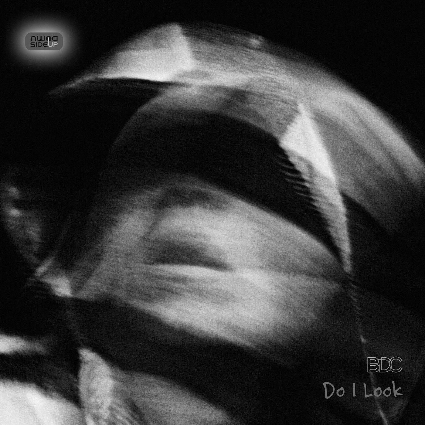 Do I Look ((2024))