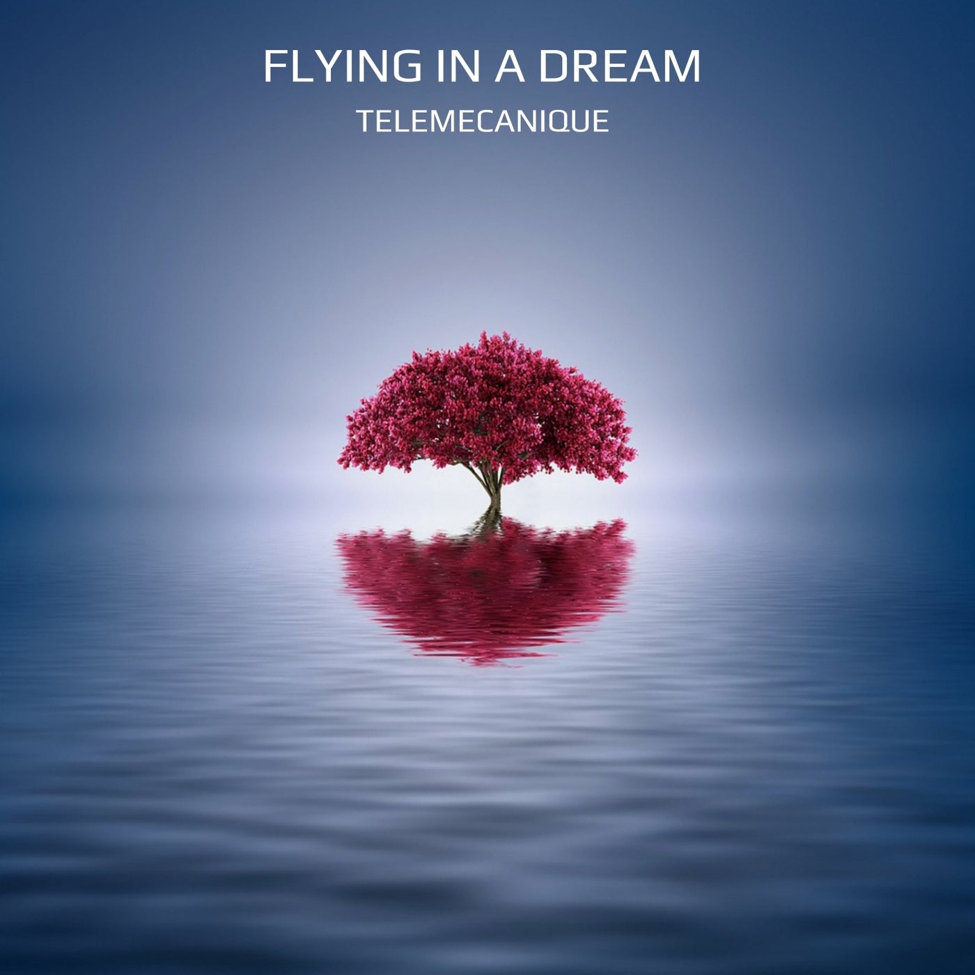 Flying in a Dream