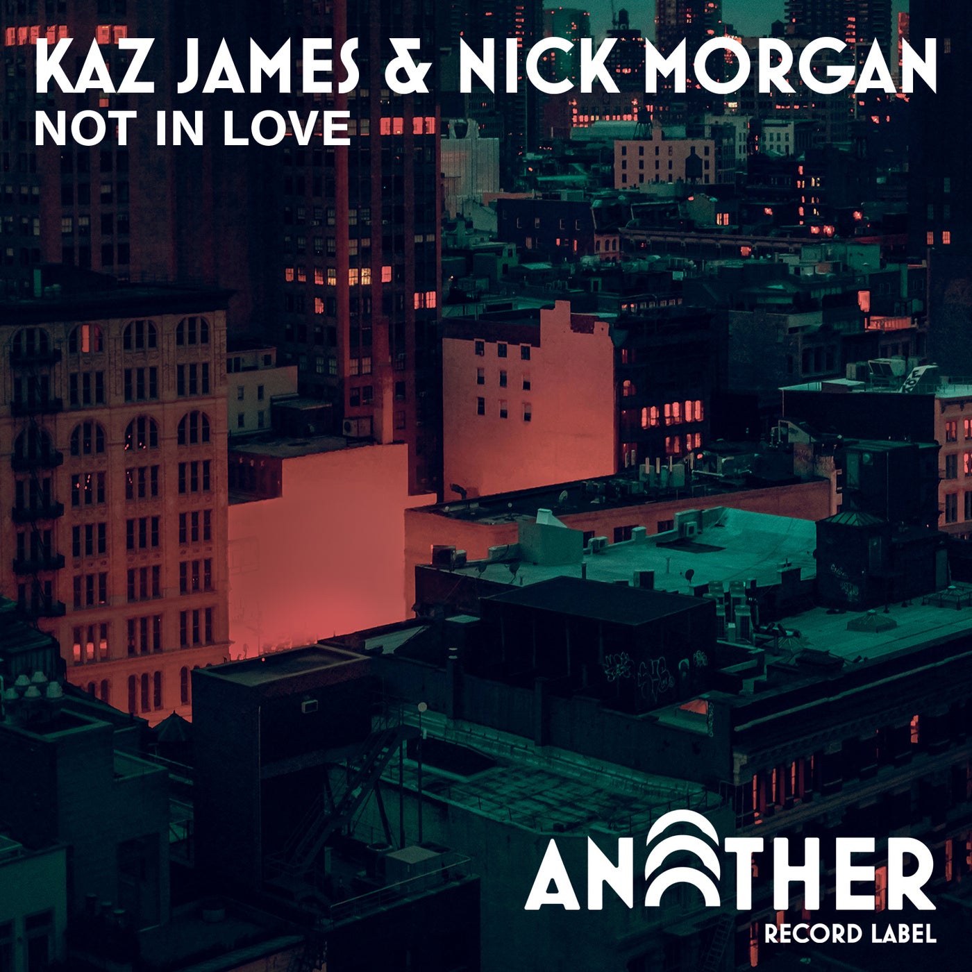 Not In Love (Extended Mix)