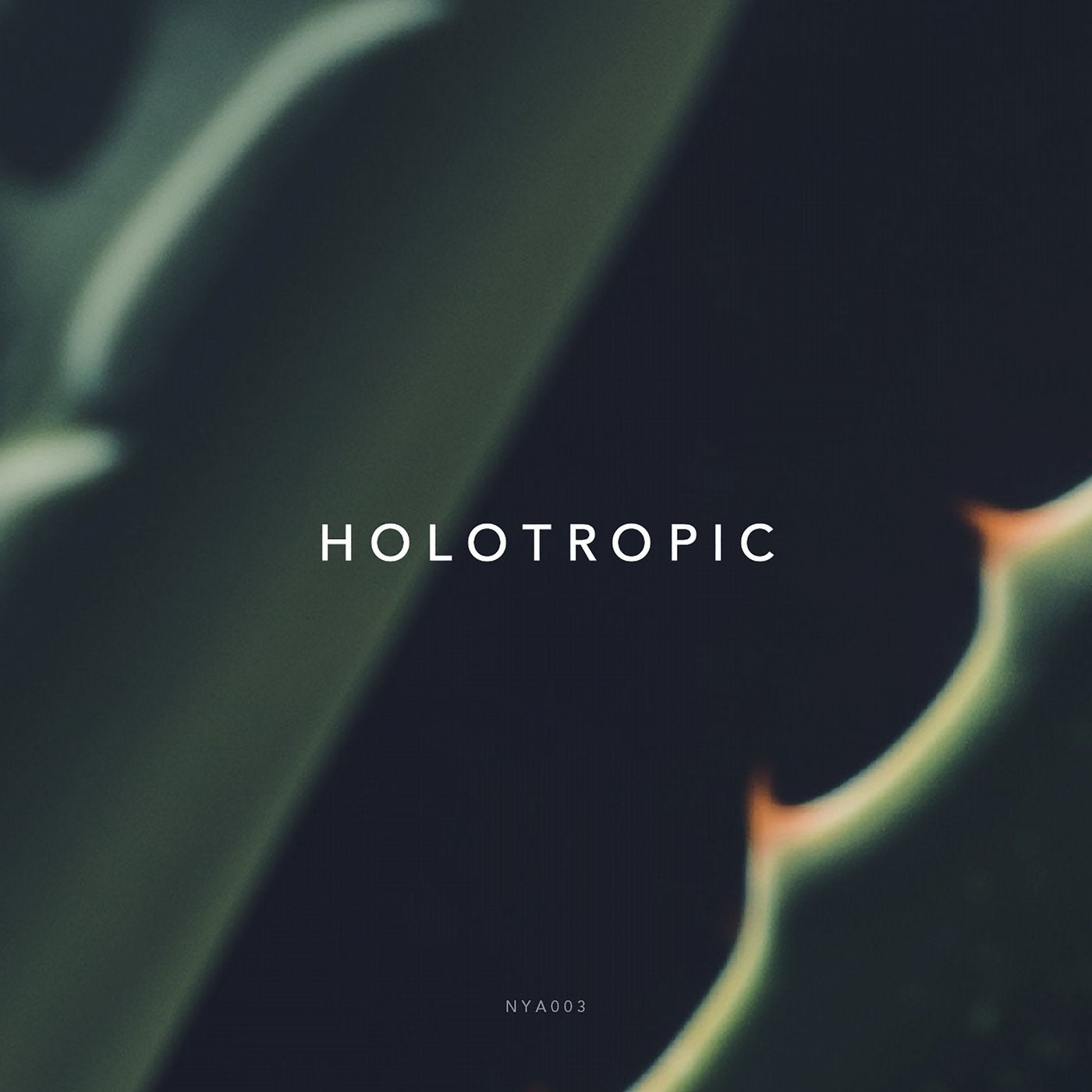 Holotropic