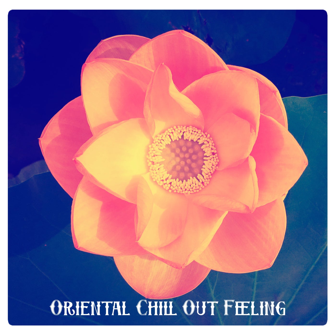 Oriental Chill Out Feeling