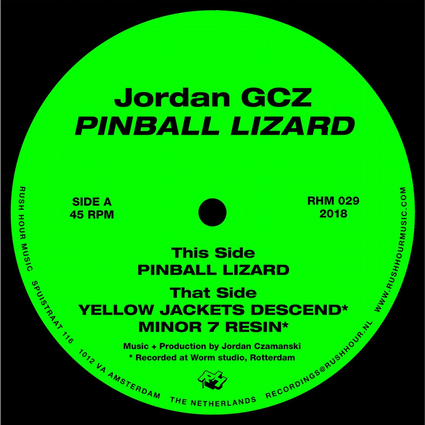 Pinball Lizard