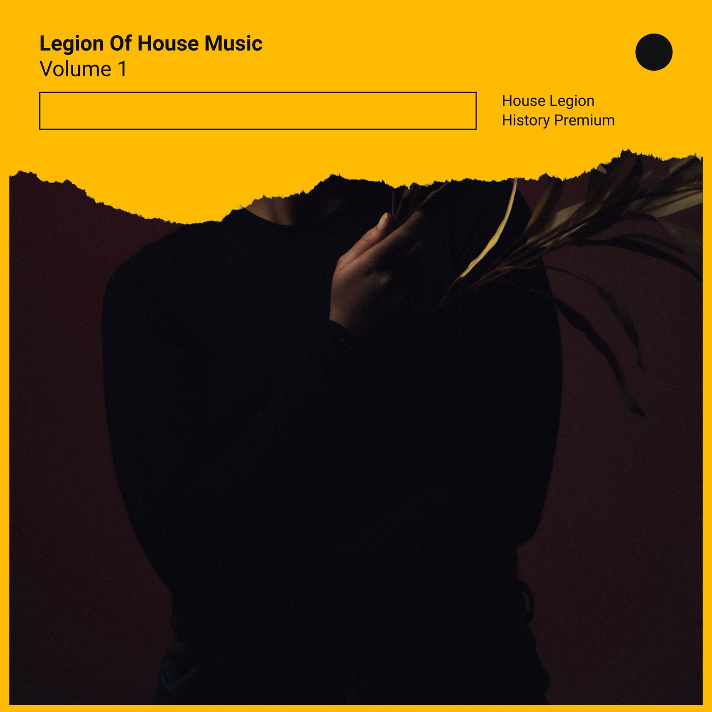 Legion Of House Music, Vol. 1