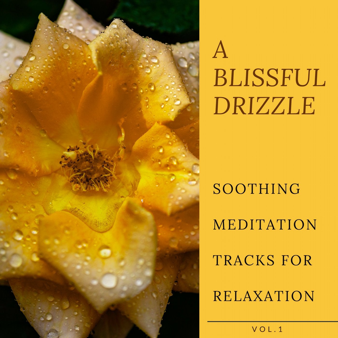 A Blissful Drizzle - Soothing Meditation Tracks For Relaxation, Vol.1