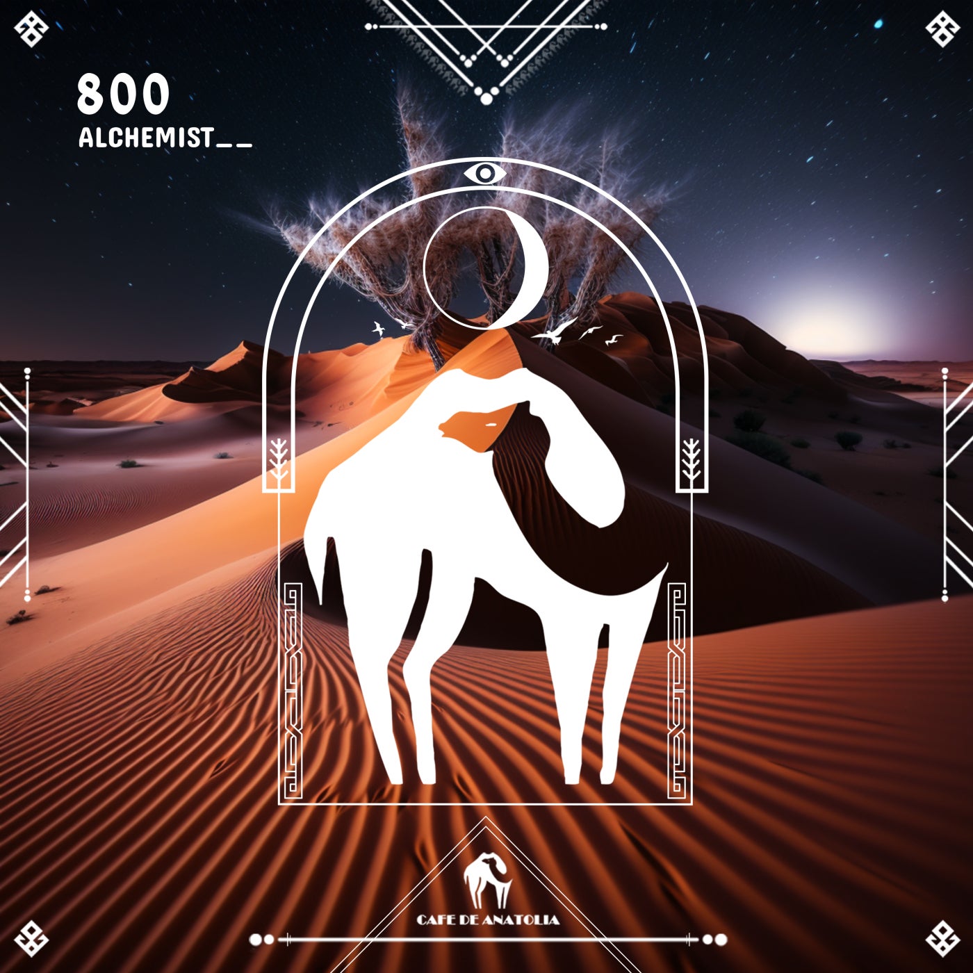 800