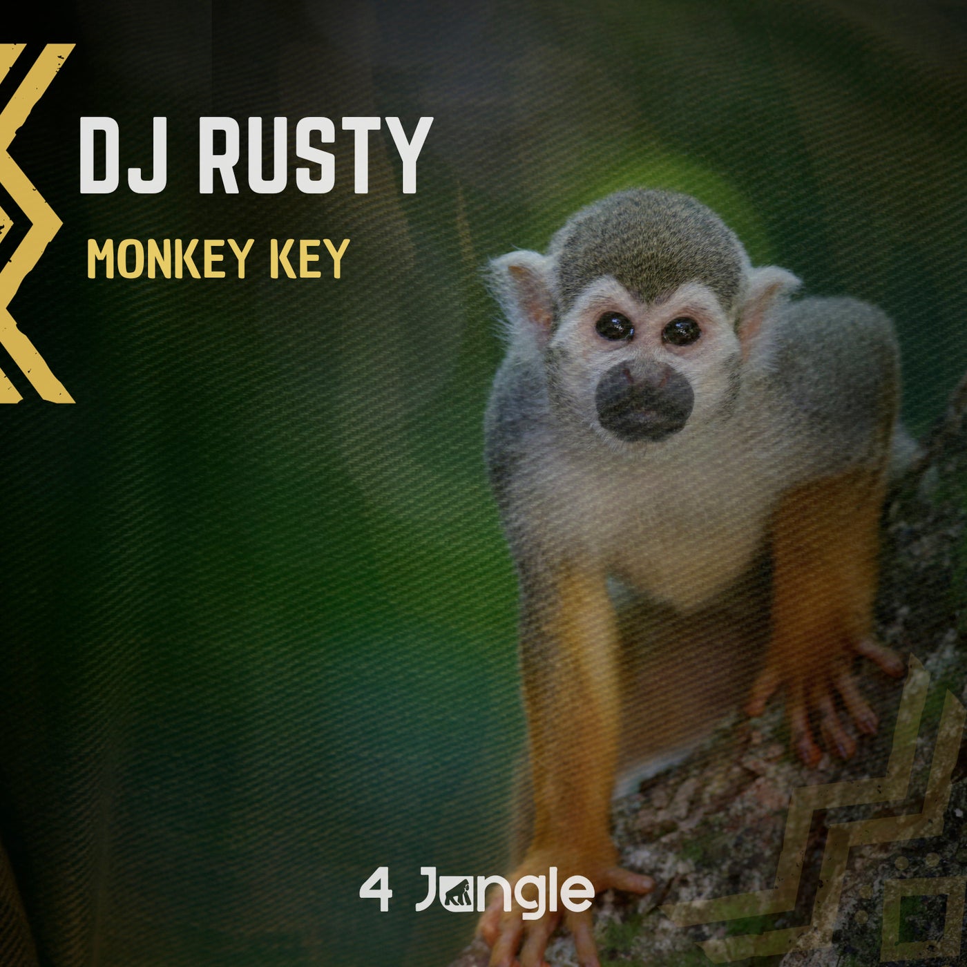 Monkey Key