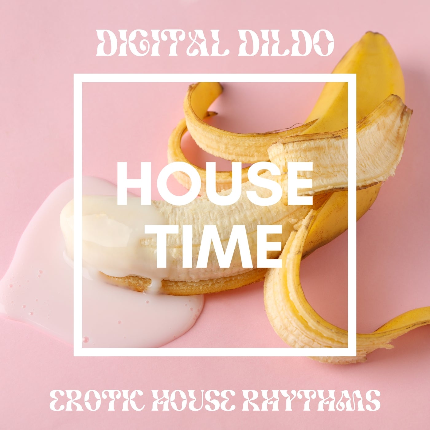 Digital Dildo (Erotic House Rhythms)