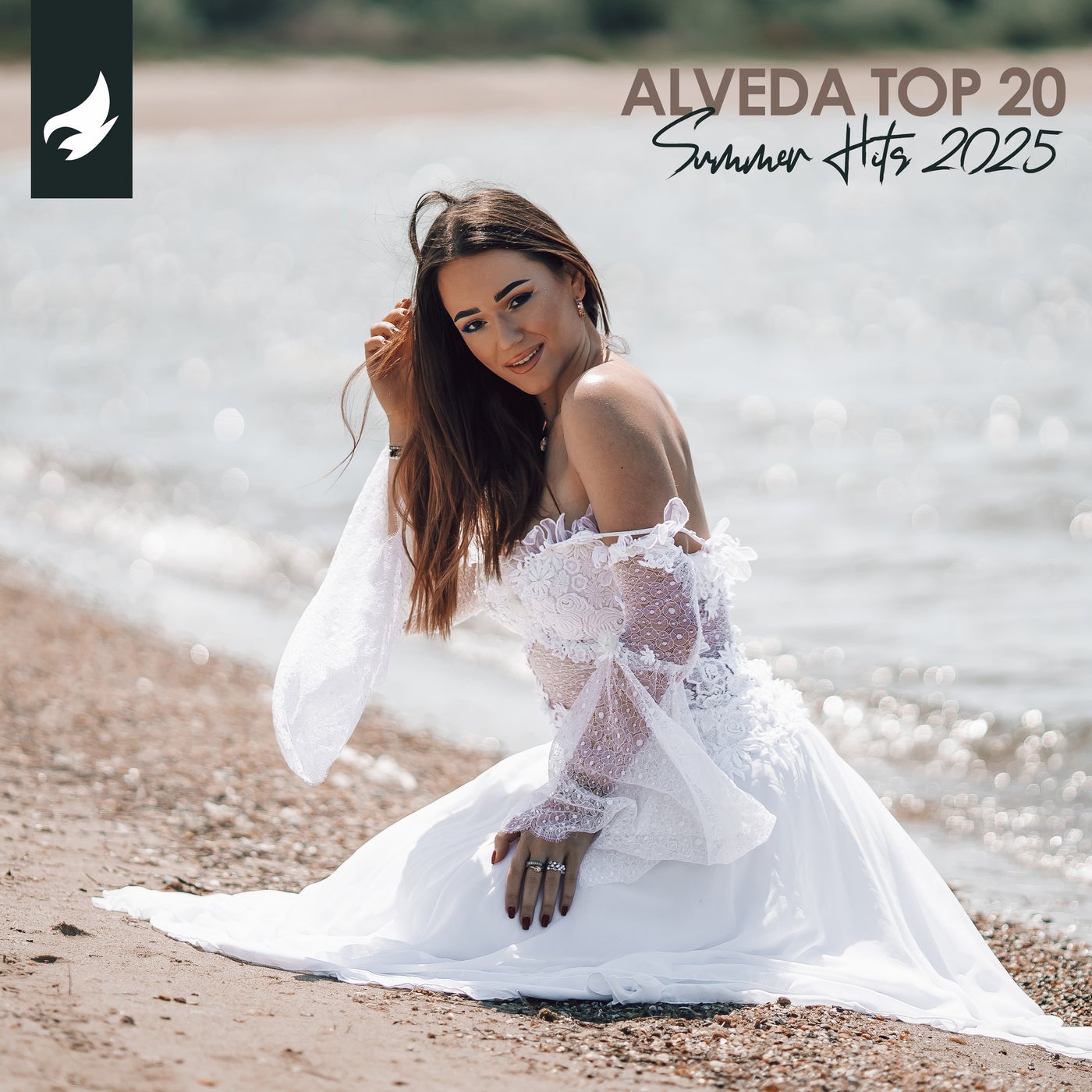 Alveda Top 20 Summer Hits 2025